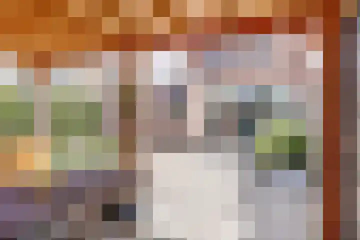 Dijk 87 Broek op Langedijk thumbnail 45