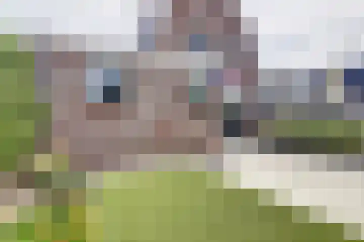 Dijk 87 Broek op Langedijk thumbnail 46