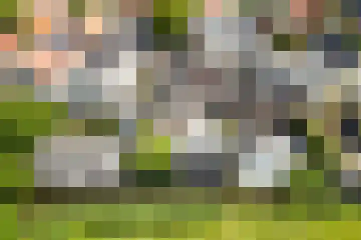 Dijk 87 Broek op Langedijk thumbnail 47