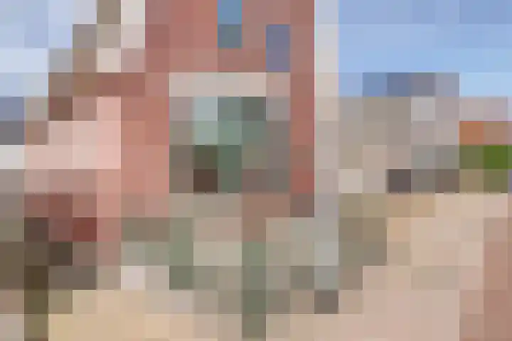 Dijk 87 Broek op Langedijk thumbnail 49