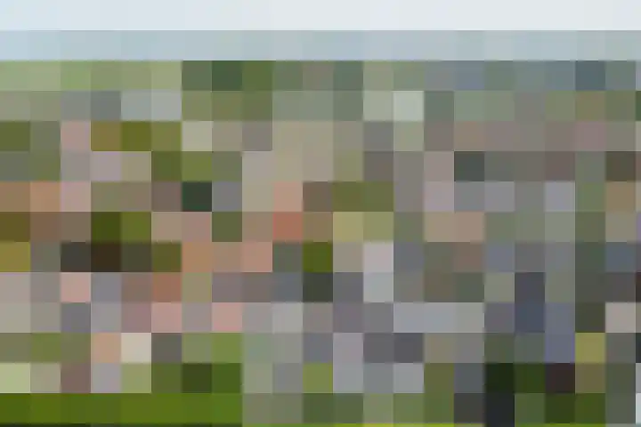 Dijk 87 Broek op Langedijk thumbnail 51