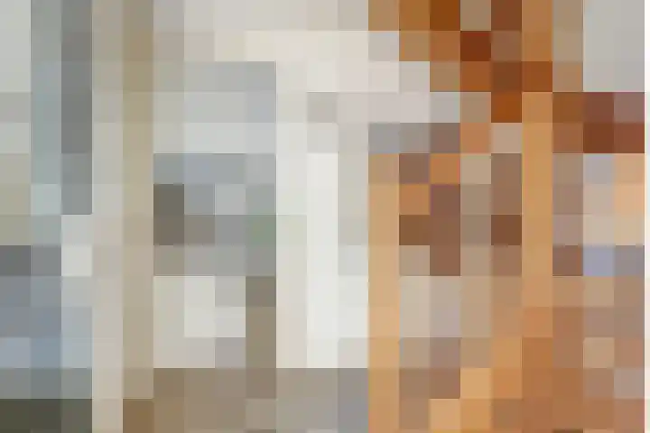 Dijk 87 Broek op Langedijk thumbnail 6