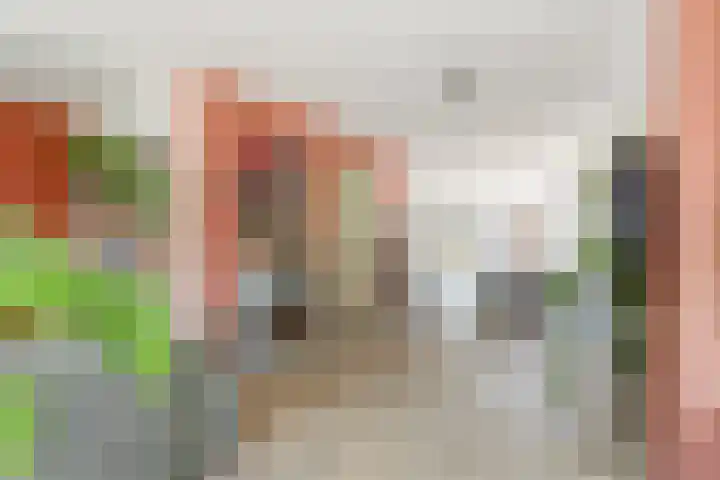 Dijk 87 Broek op Langedijk thumbnail 7