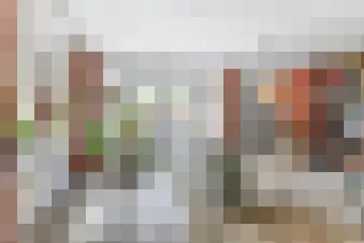 Dijk 87 Broek op Langedijk thumbnail 9