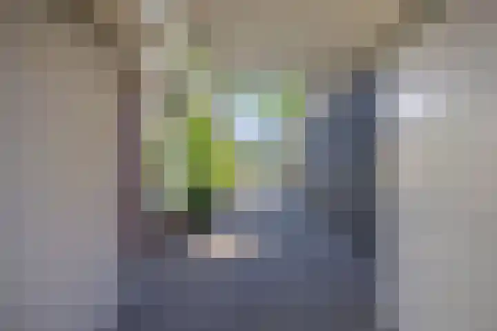 Dijk 9 Broek op Langedijk thumbnail 10