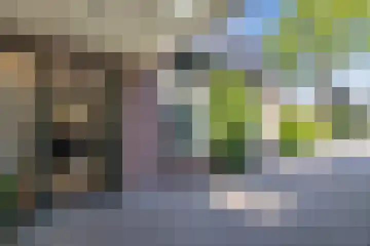 Dijk 9 Broek op Langedijk thumbnail 11