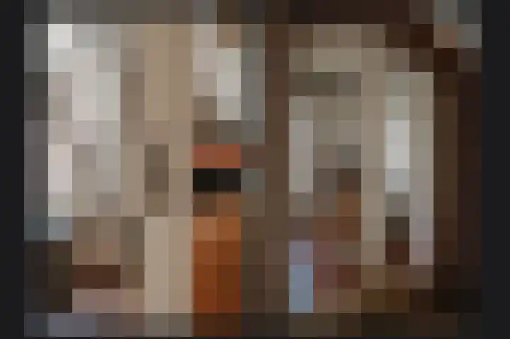 Dijk 9 Broek op Langedijk thumbnail 13