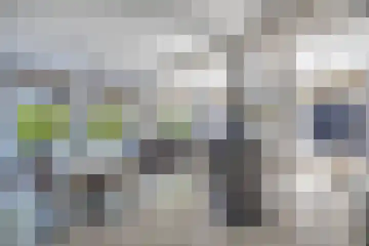 Dijk 9 Broek op Langedijk thumbnail 14