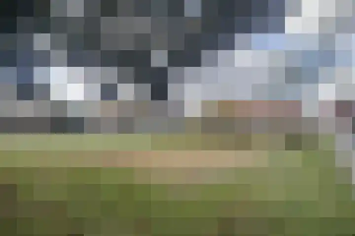 Dijk 9 Broek op Langedijk thumbnail 15
