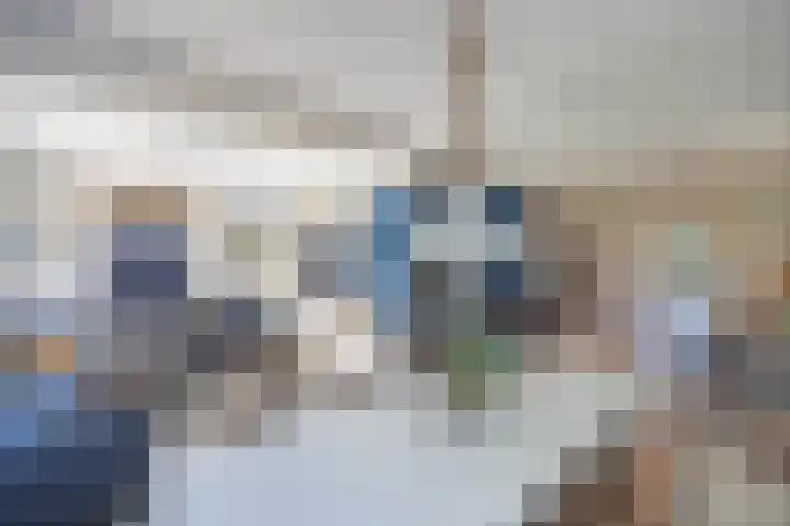 Dijk 9 Broek op Langedijk thumbnail 16