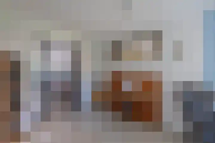Dijk 9 Broek op Langedijk thumbnail 19