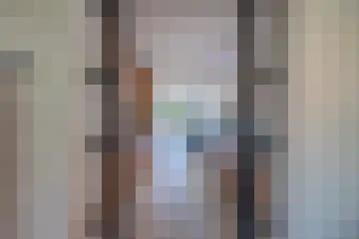 Dijk 9 Broek op Langedijk thumbnail 21