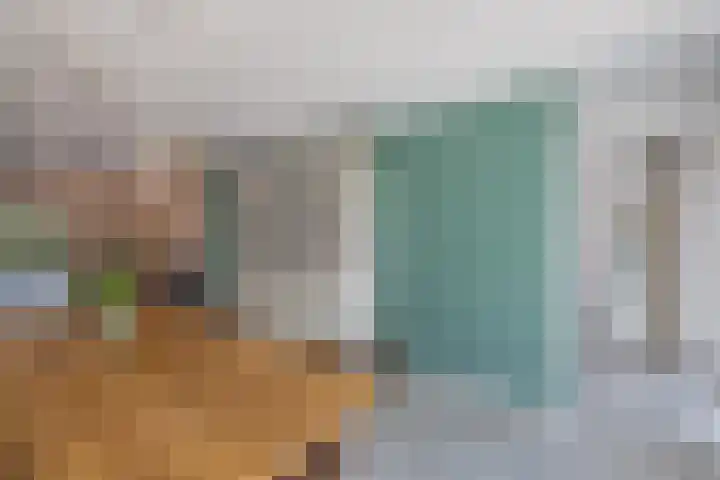 Dijk 9 Broek op Langedijk thumbnail 24