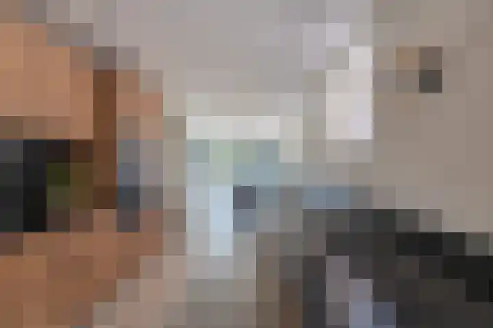 Dijk 9 Broek op Langedijk thumbnail 25