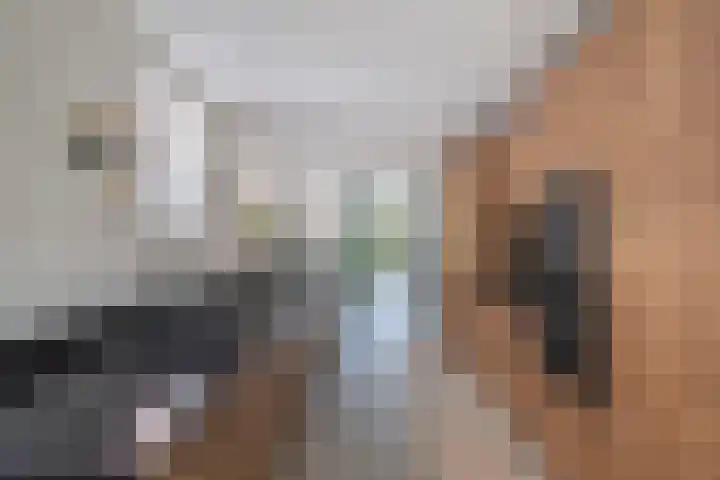 Dijk 9 Broek op Langedijk thumbnail 26