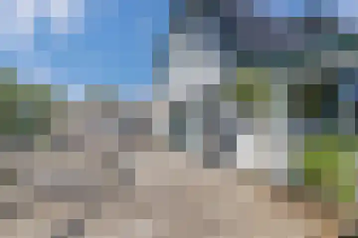 Dijk 9 Broek op Langedijk thumbnail 29