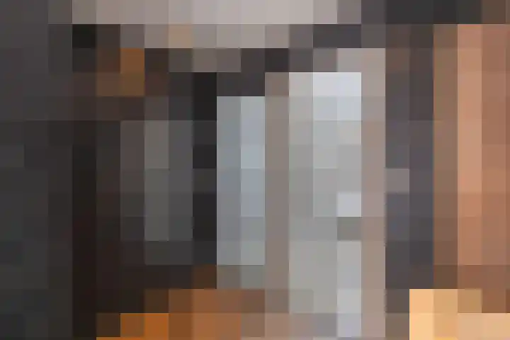 Dijk 9 Broek op Langedijk thumbnail 34