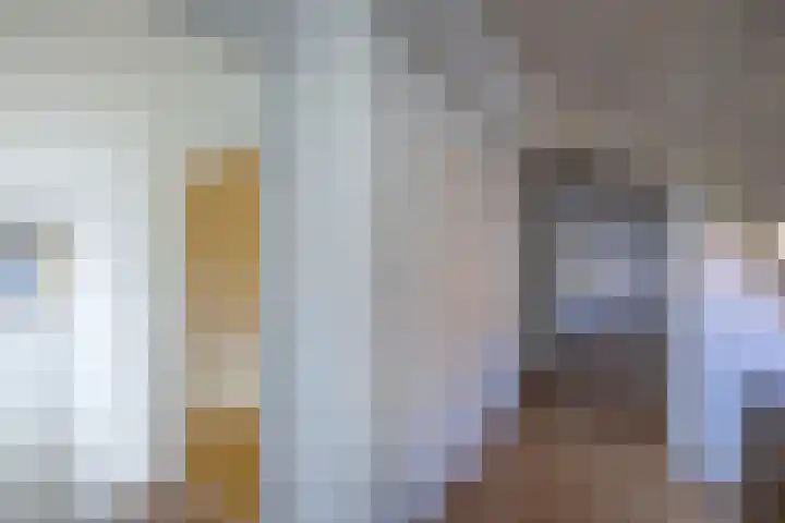 Dijk 9 Broek op Langedijk thumbnail 38