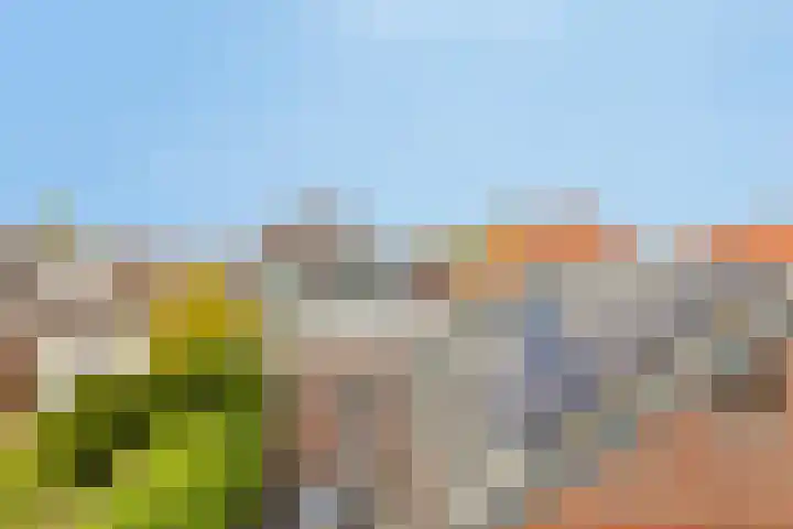Dijk 9 Broek op Langedijk thumbnail 44