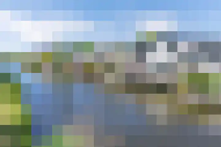 Dijk 9 Broek op Langedijk thumbnail 56