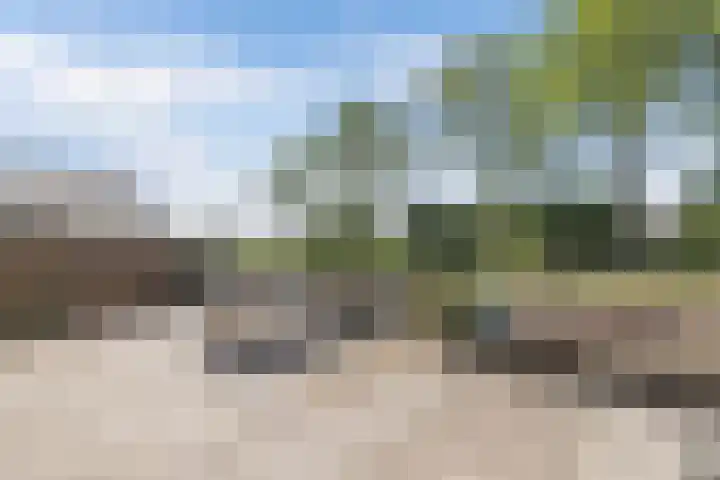 Dijk 9 Broek op Langedijk thumbnail 62