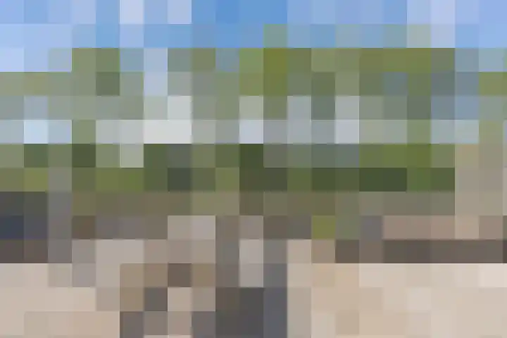 Dijk 9 Broek op Langedijk thumbnail 63
