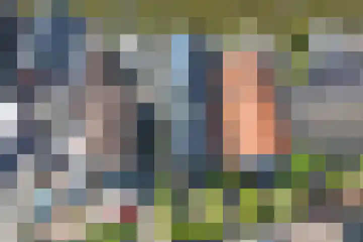 Dijk 9 Broek op Langedijk thumbnail 64