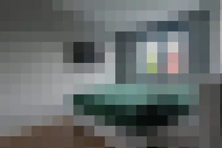 Dijk 9 Nijkerk thumbnail 14