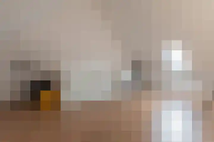 Dijk 9 Nijkerk thumbnail 17