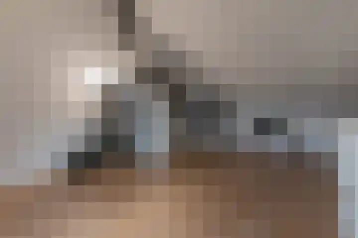 Dijk 9 Nijkerk thumbnail 18