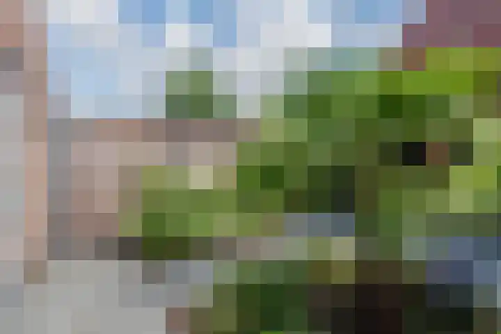 Dijk 9 Nijkerk thumbnail 19