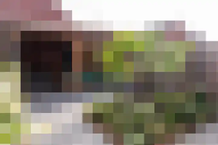 Dijk 9 Nijkerk thumbnail 20