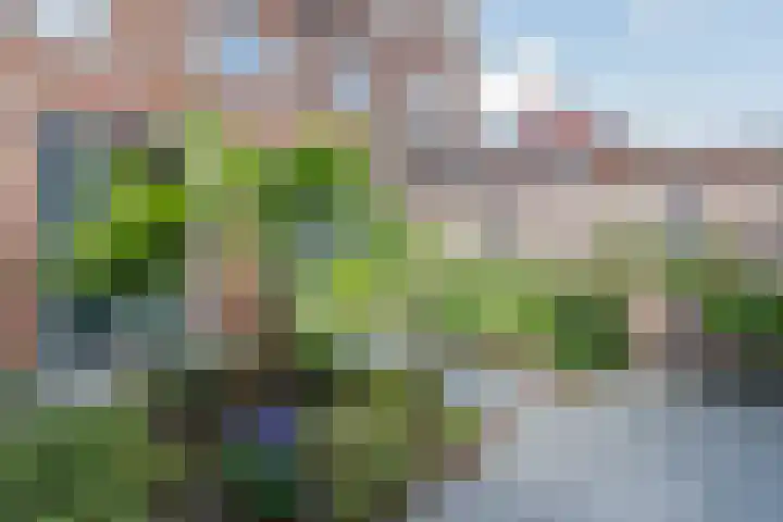 Dijk 9 Nijkerk thumbnail 23