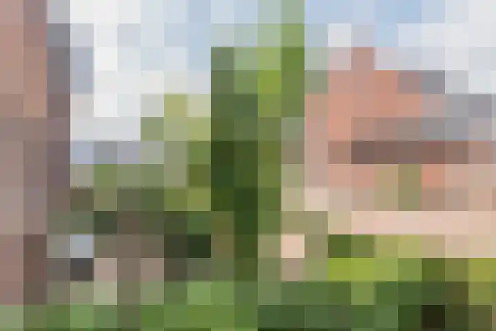 Dijk 9 Nijkerk thumbnail 25