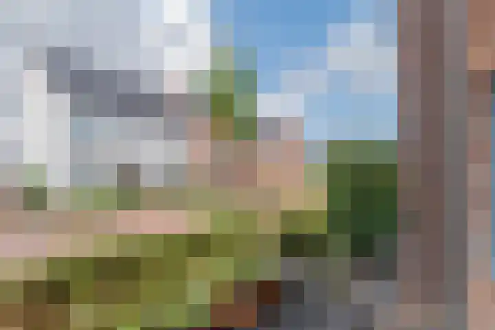 Dijk 9 Nijkerk thumbnail 26