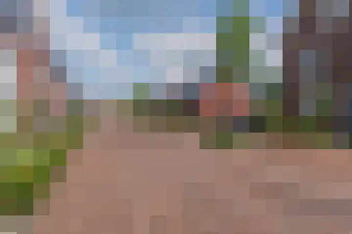 Dijk 9 Nijkerk thumbnail 27