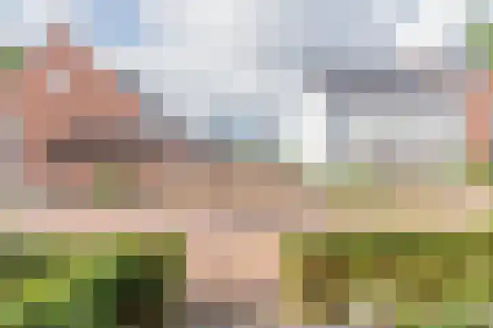 Dijk 9 Nijkerk thumbnail 28