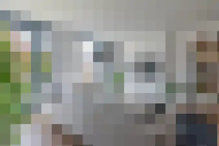 Dijk 9 Nijkerk thumbnail 4