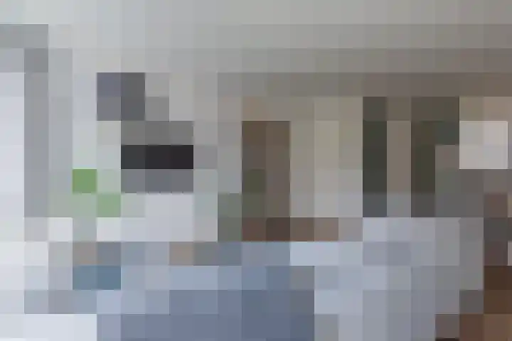 Dijk 9 Nijkerk thumbnail 5