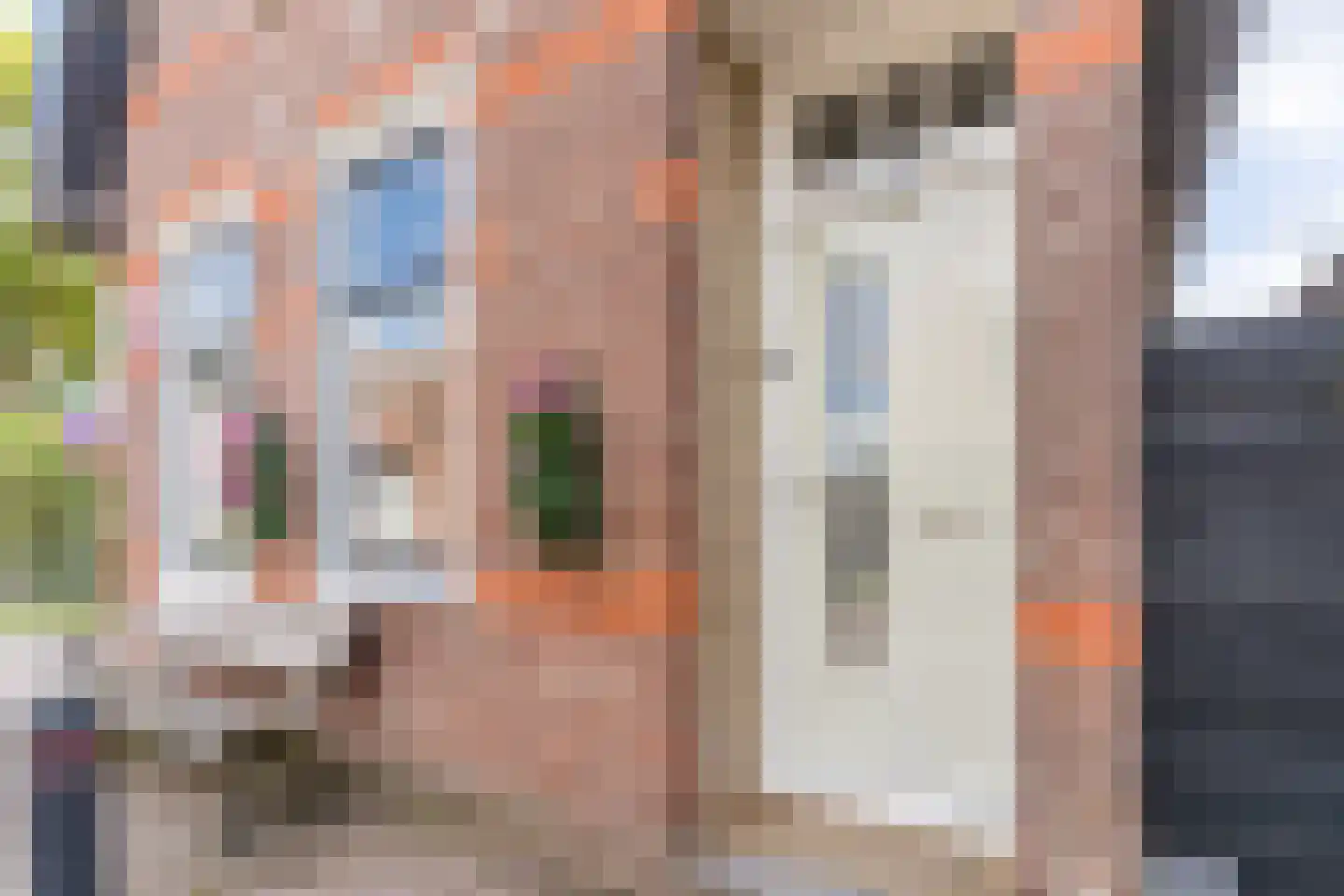 Dijk 98 Broek op Langedijk thumbnail 11