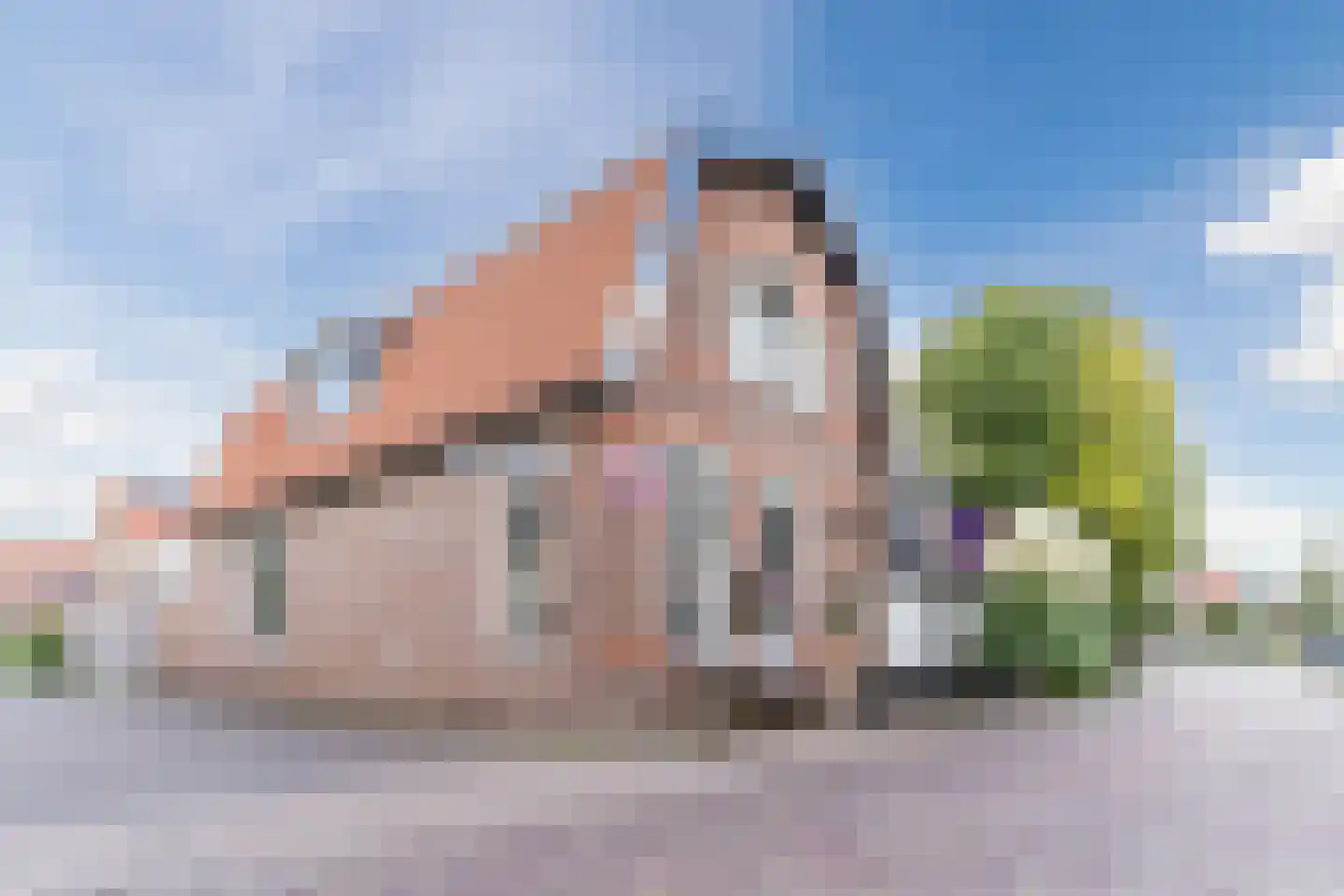 Dijk 98 Broek op Langedijk foto 2