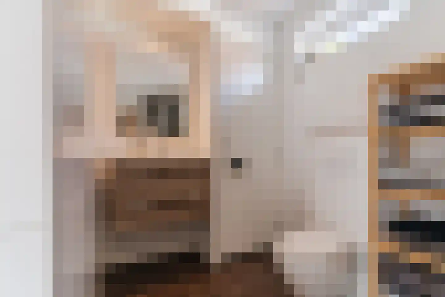 Dijk 98 Broek op Langedijk thumbnail 32