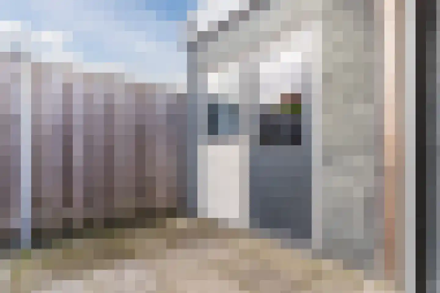 Dijk 98 Broek op Langedijk thumbnail 53