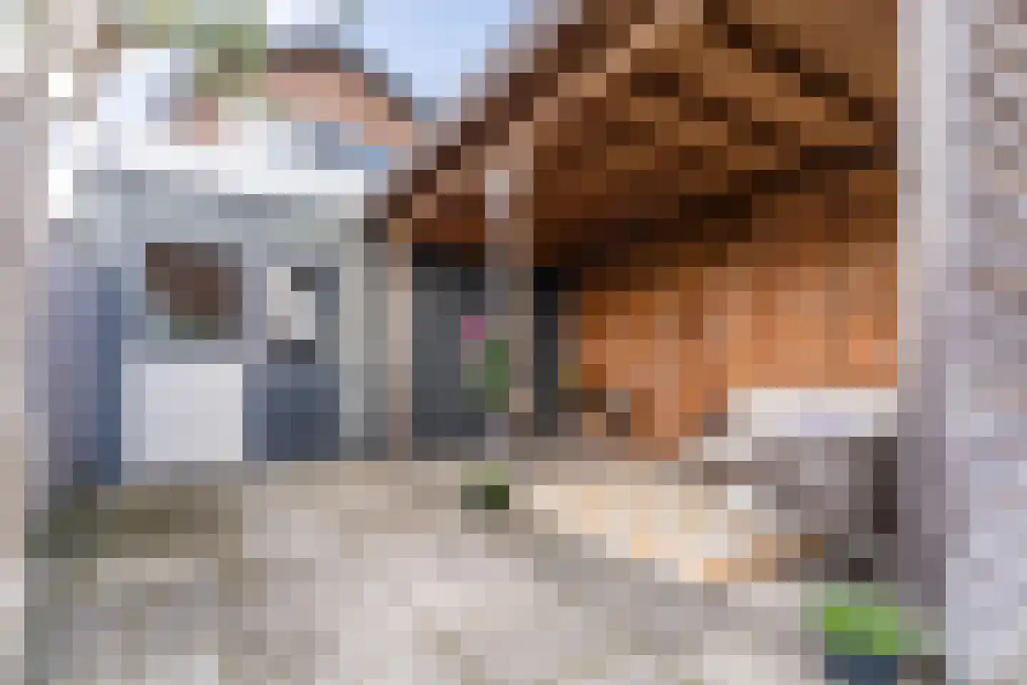 Dijk 98 Broek op Langedijk thumbnail 54