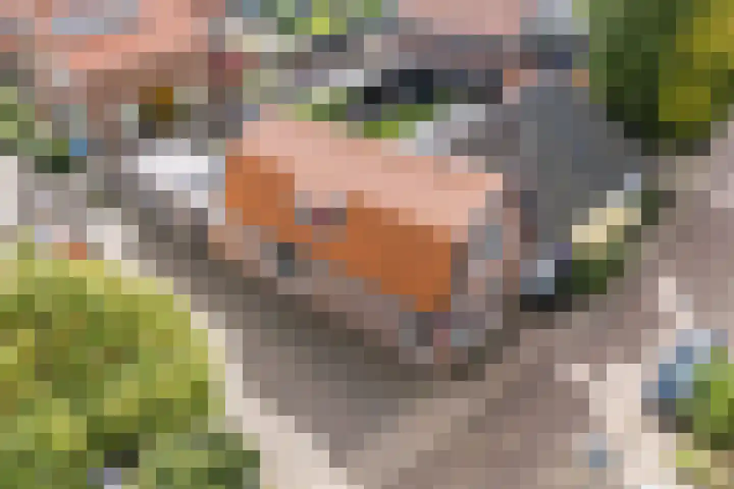 Dijk 98 Broek op Langedijk thumbnail 61