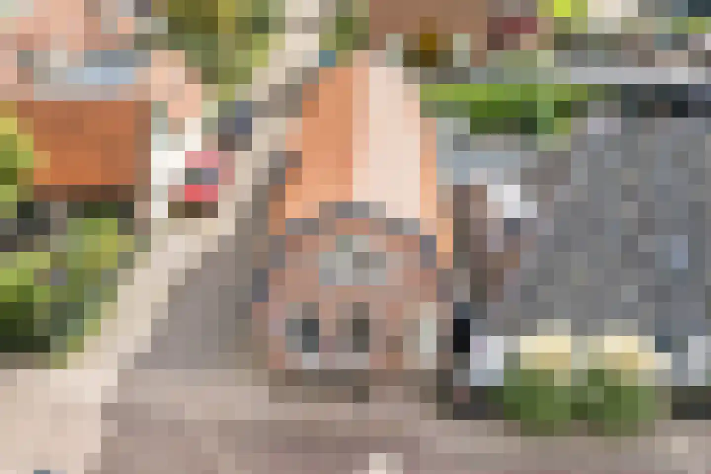 Dijk 98 Broek op Langedijk thumbnail 62