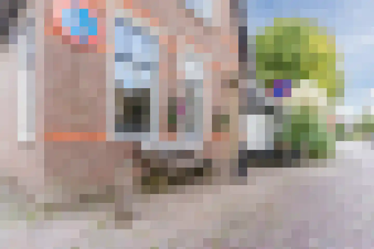 Dijk 98 Broek op Langedijk thumbnail 63