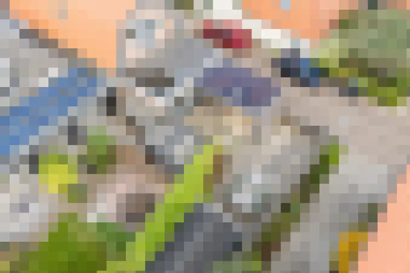 Dijk 98 Broek op Langedijk thumbnail 67