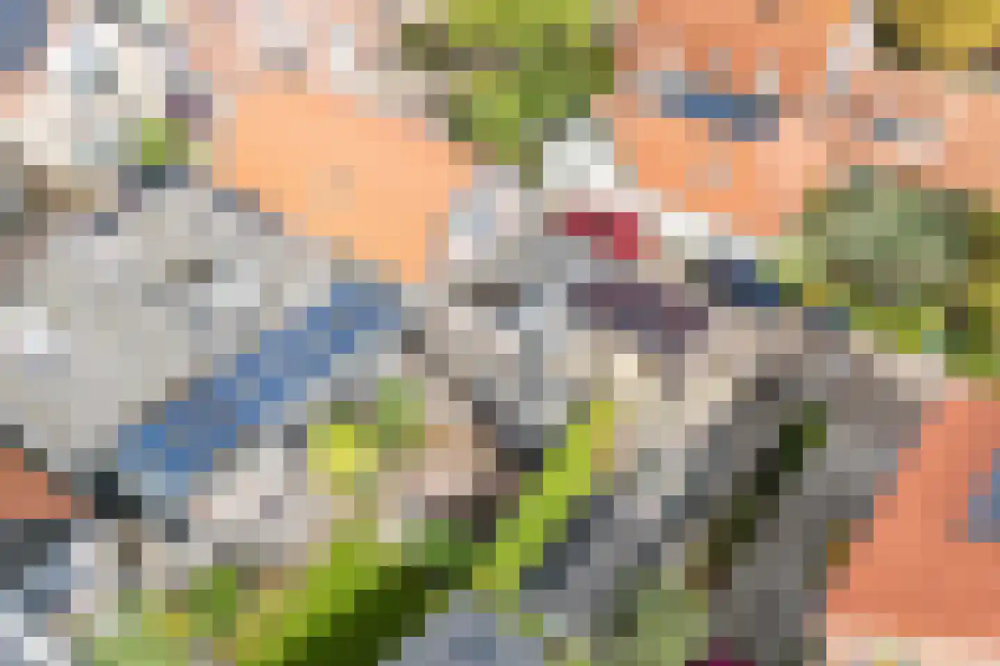 Dijk 98 Broek op Langedijk thumbnail 68