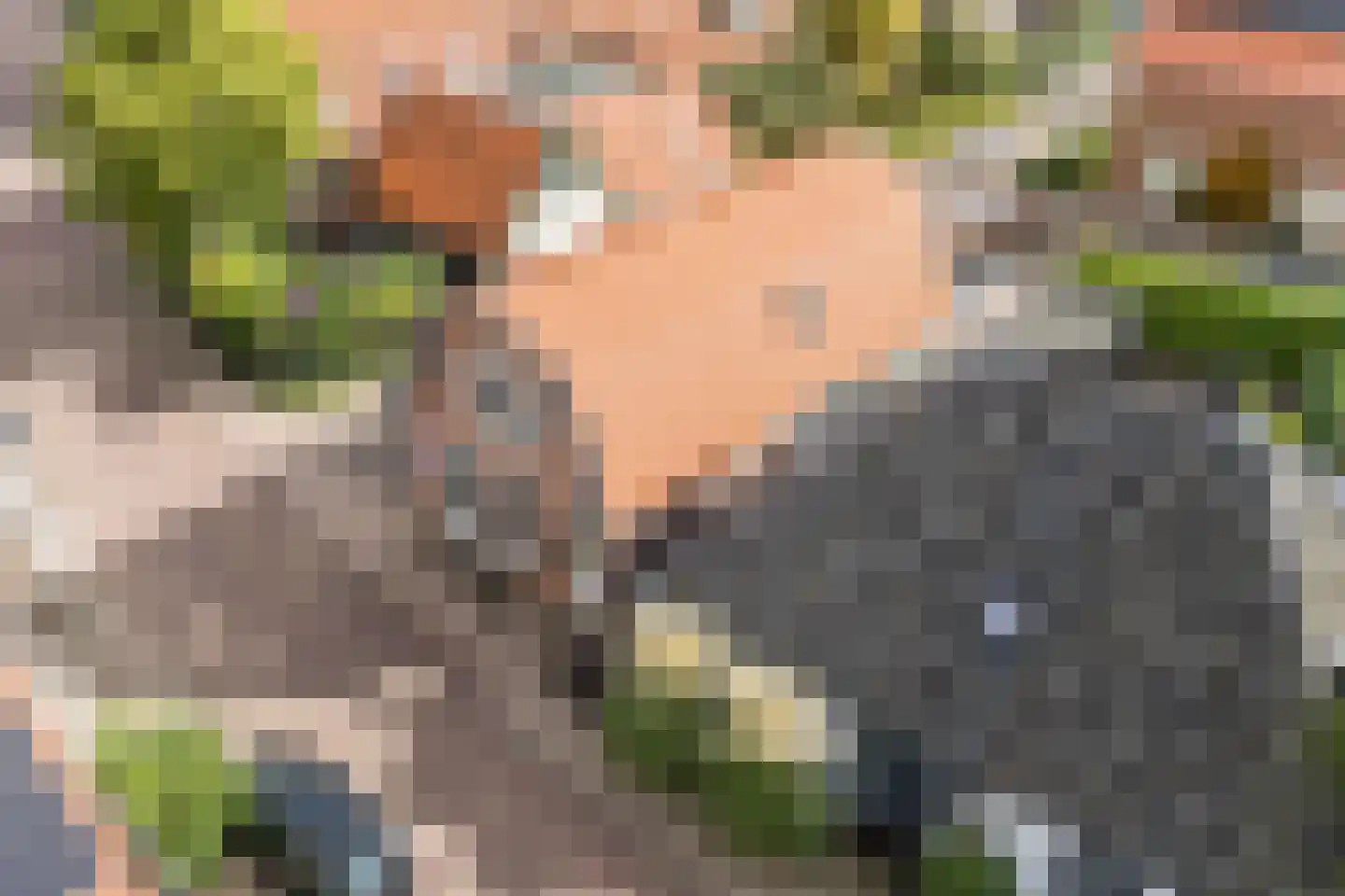 Dijk 98 Broek op Langedijk thumbnail 72